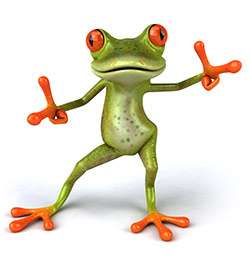 frog-for-contact-page