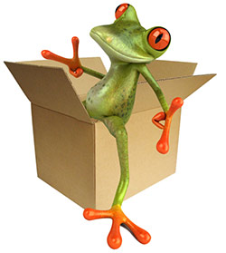 frog-in-box-